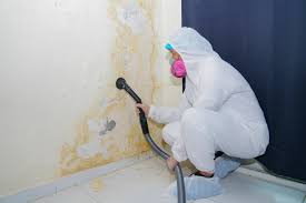 Best Mold Odor Removal Services  in Eastern Goleta Valley, CA